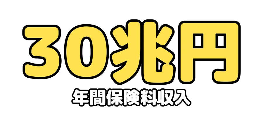 年間保険料収入：30兆円